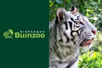 Ven a disfrutar de un día en Buin Zoo (Fast Pass) - Panoramas con niños